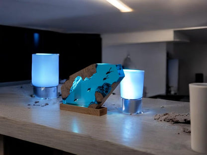 Turtle Resin Epoxy Lamp, Night Light